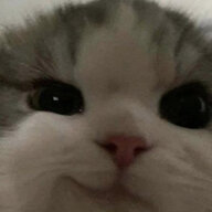 hafu