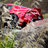 Phantom_dante